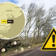 A yellow weather warning for wind has been issued across the whole of Essex