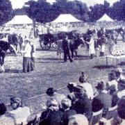 The Orsett Show back in 1953