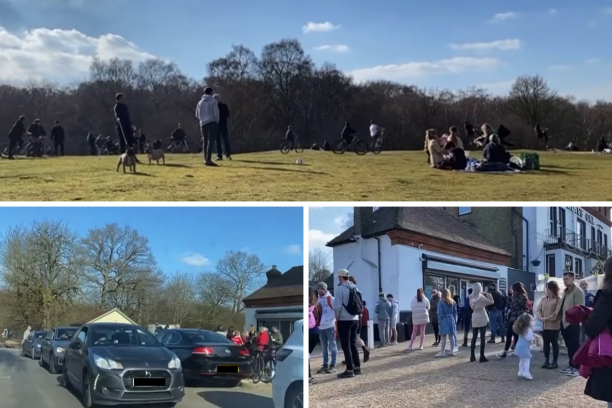 News footage shows crowds flocked to High Beech, Loughton, last weekend, spurred by the warm weather. Photos: BBC News