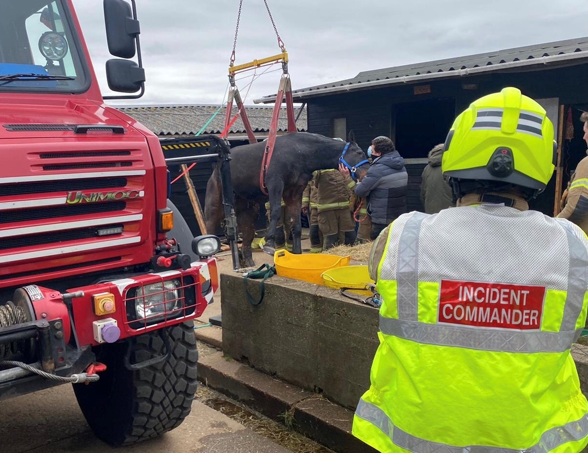 Pictures show firefighters rescuing elderly 600kg horse in Orsett. Picture: Essex Fire Service