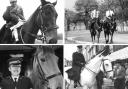 Memories - Essex Police's mounted unit