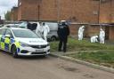 Aftermath - the murder scene in May