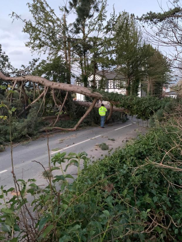 Thurrock Gazette: Aftermath of Storm Arwen in Cheshire (PA)
