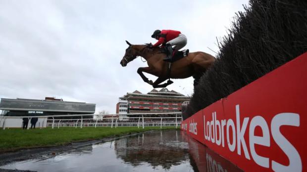 Thurrock Gazette: Further watering at Cheltenham has been put on hold with conditions close to the target of good to soft for the start of the Festival. (PA)