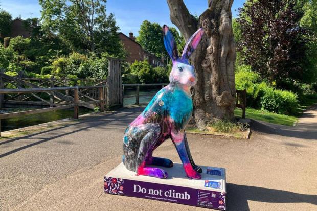 Hares have popped up all over Southampton and Winchester