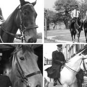 Memories - Essex Police's mounted unit
