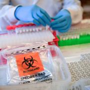 Thurrock coronavirus deaths in care homes revealed