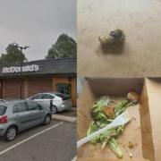 Shocked McDonald's customer finds dead caterpillar in her salad