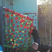 Gable Hall School has begun a stunning display in name of Remembrance Day